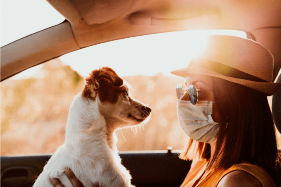 Viajar na pandemia: dicas de segurança durante a Covid-19