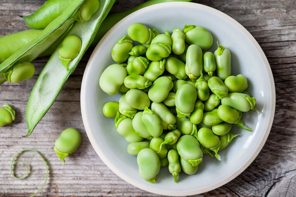 fava