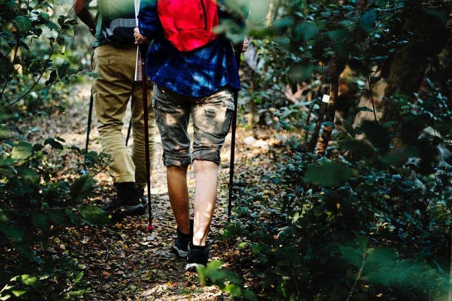 Turismo ecológico no Brasil: dicas de destino para seu roteiro