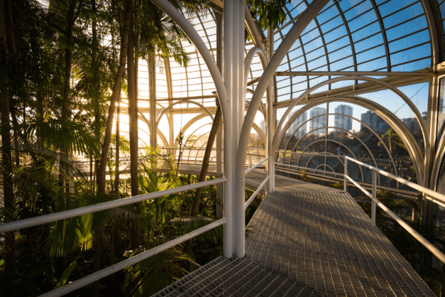 Os pontos turísticos de Curitiba mais bonitos e procurados
