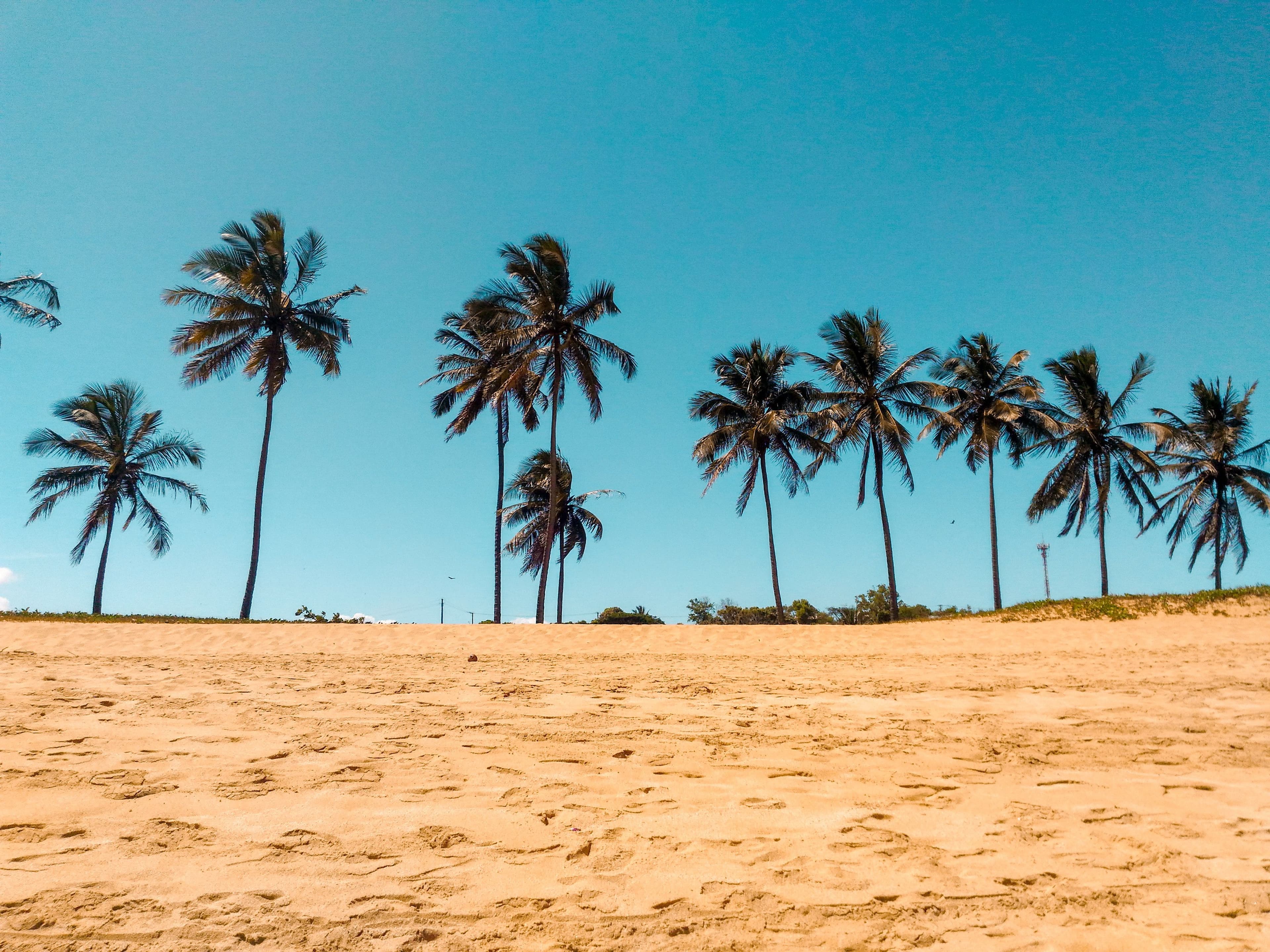 dicas de viagem barata de carro 2021 praias foco aluguel de carros