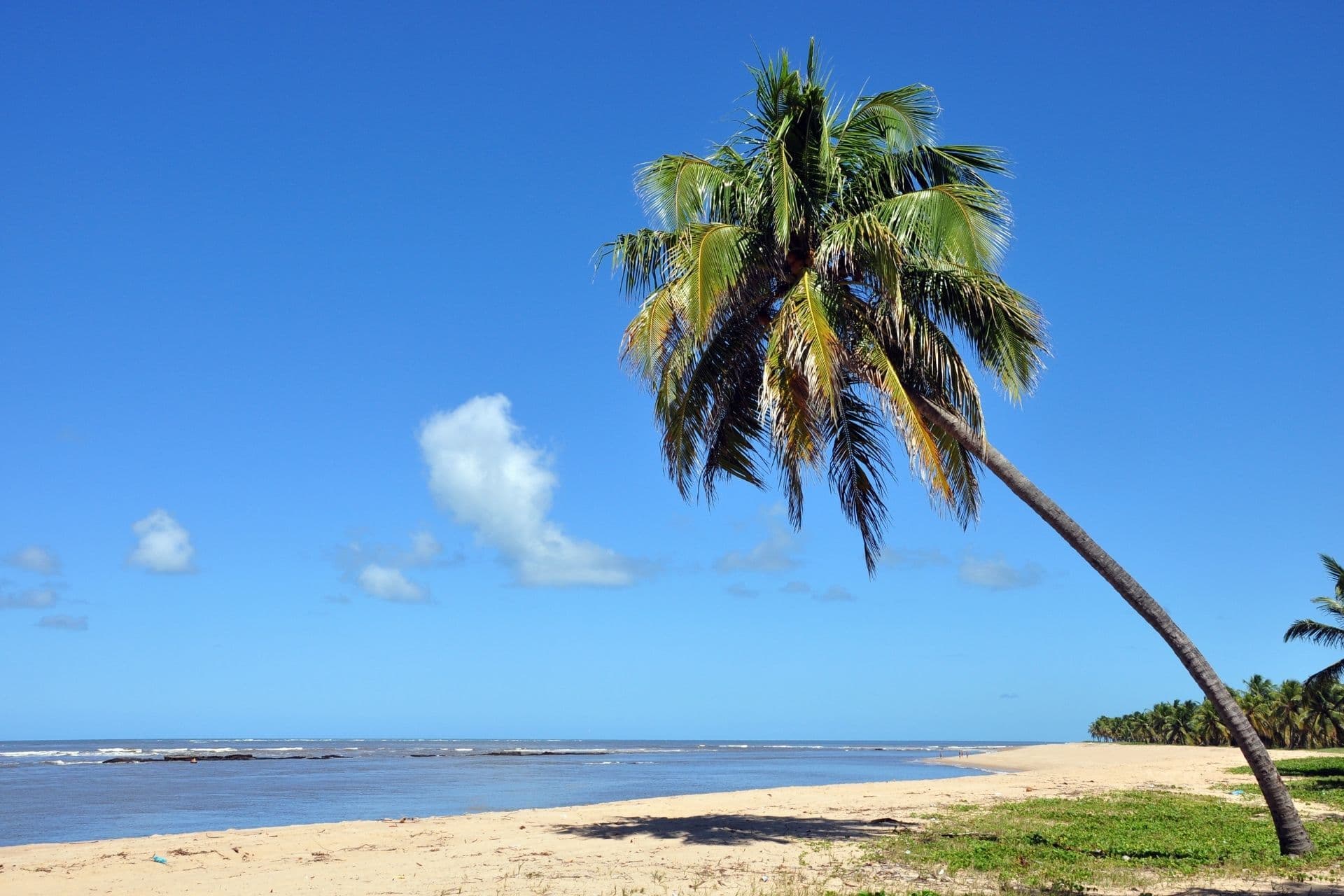praia do gunga alagoas pontos turisticos do nordeste foco aluguel de carros