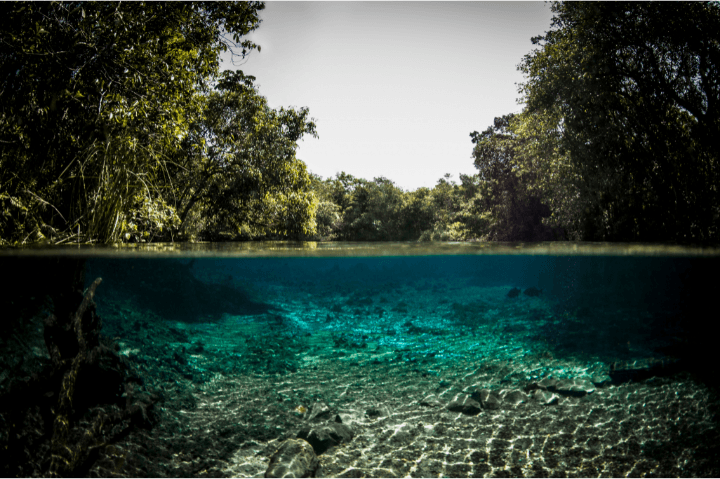 bonito-mato-grosso-do-sul