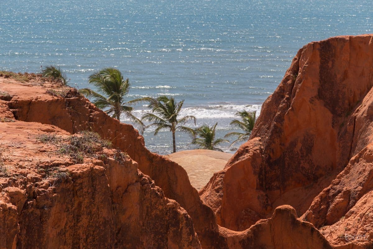 passeios em Fortaleza
