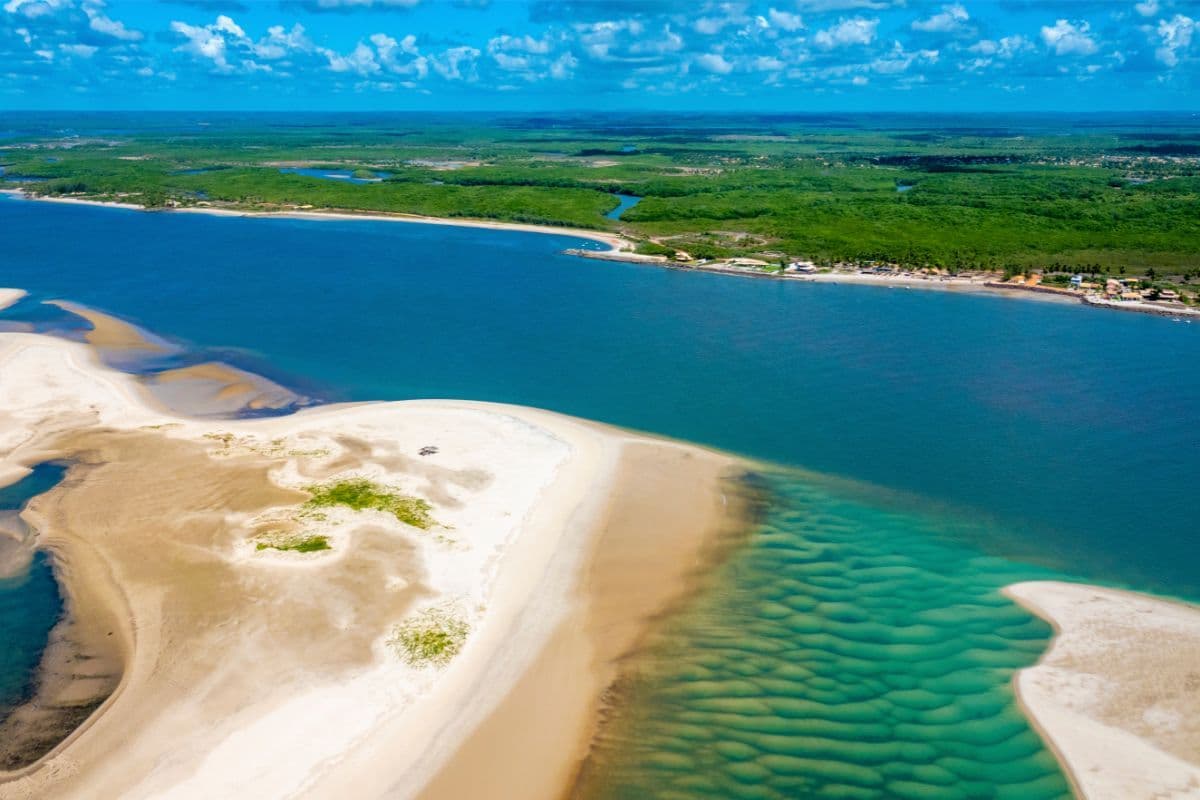 Rodrigo Ruas indica Aracaju