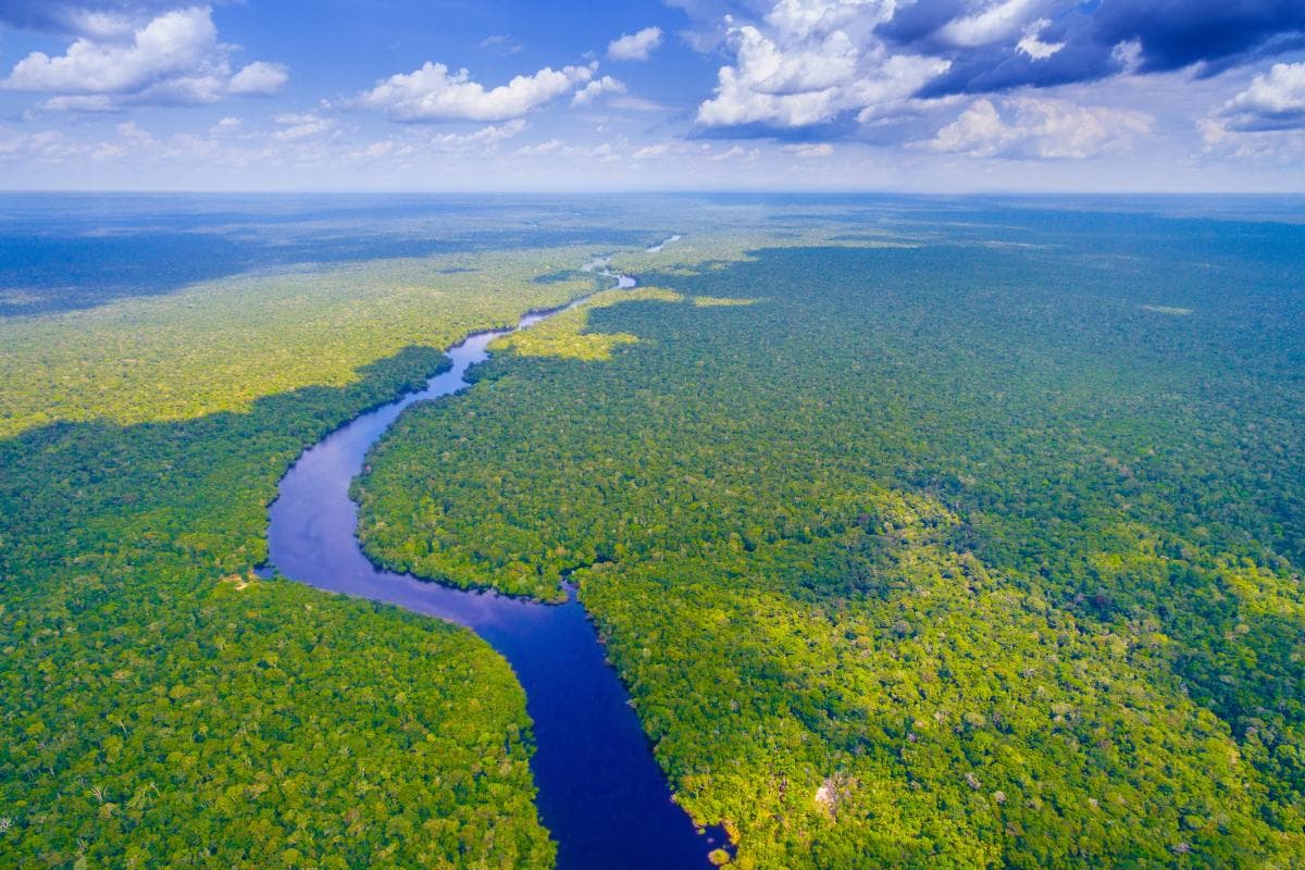 pontos turísticos Região Norte: floresta amazonica