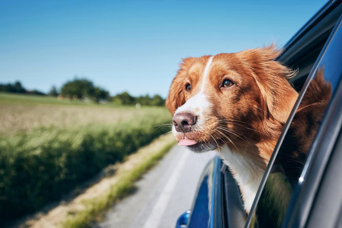 lugares para viajar de carro 2