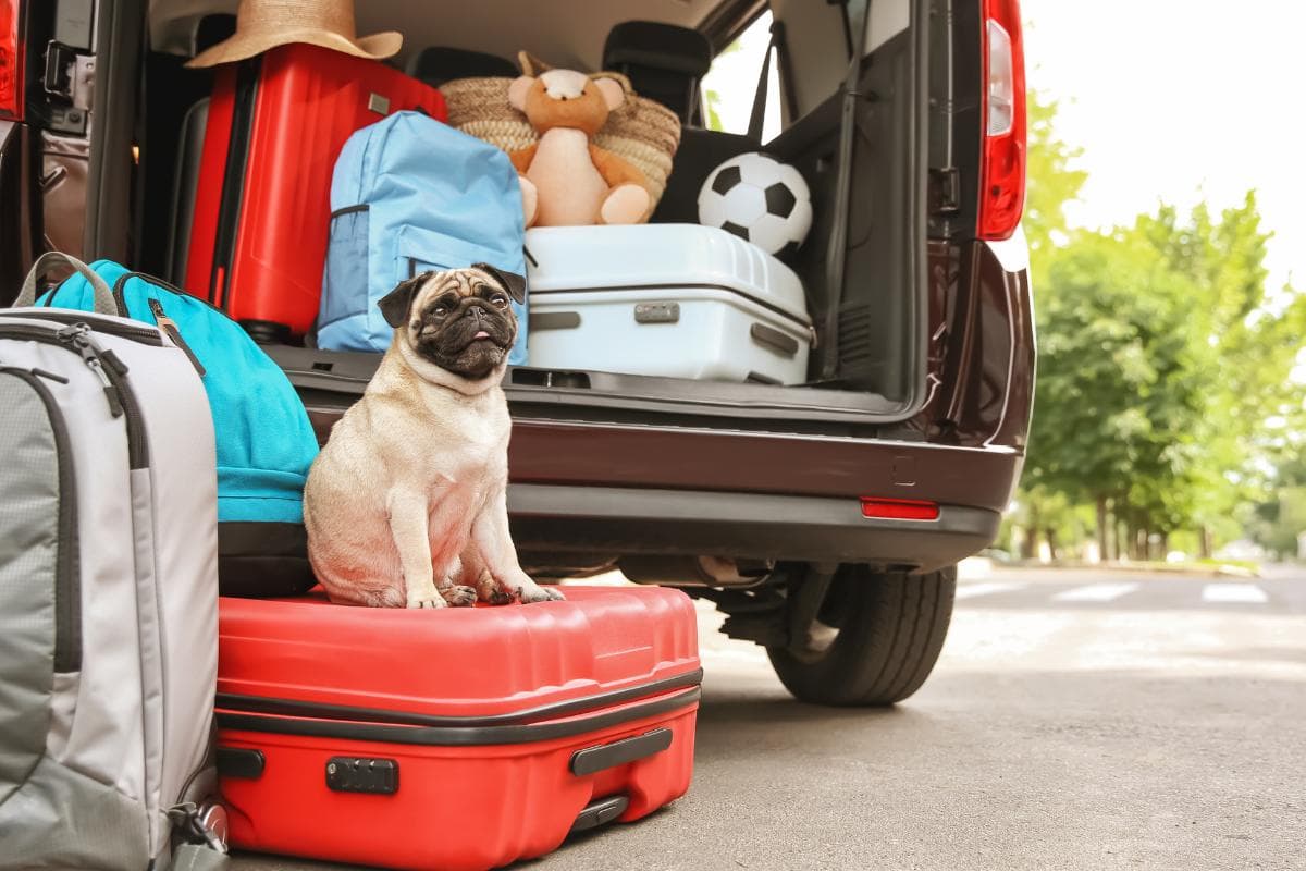 Custo viagem carro (1)