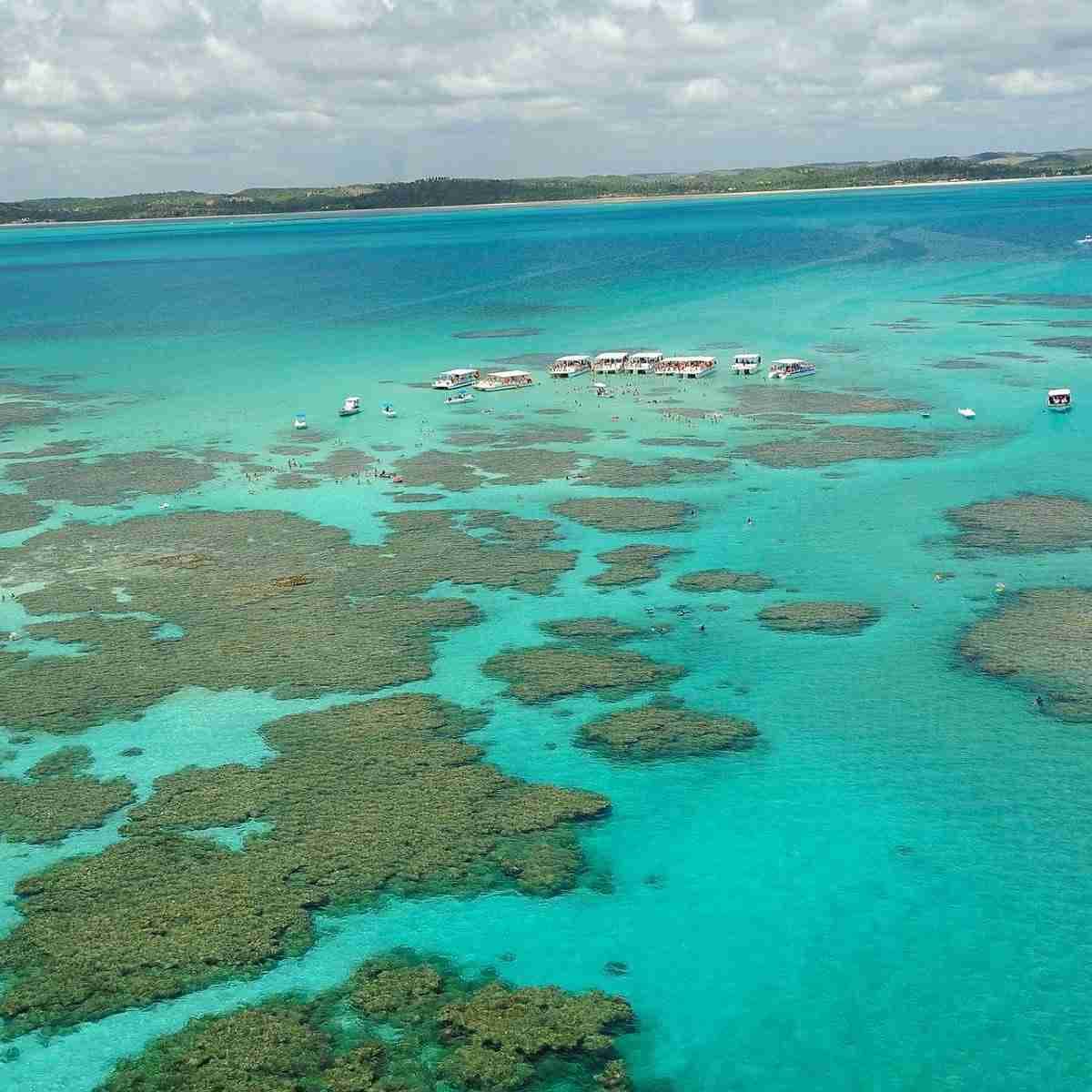 Vista aérea deslumbrante de piscinas naturais e recifes de coral em um mar de águas cristalinas e turquesa. Múltiplos barcos de passeio e turistas desfrutam de mergulho e snorkeling nas águas rasas, com uma faixa de areia e vegetação ao fundo sob um céu parcialmente nublado. Ideal para turismo e ecoturismo.