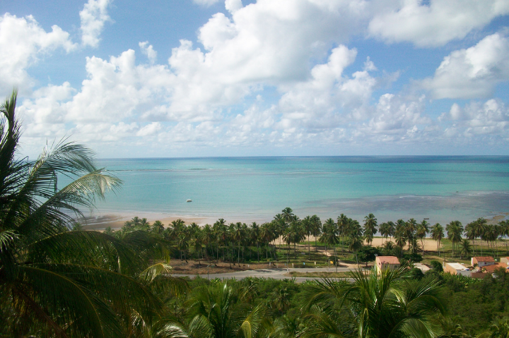 Estado de Alagoas: conheça as principais praias do caribe brasileiro