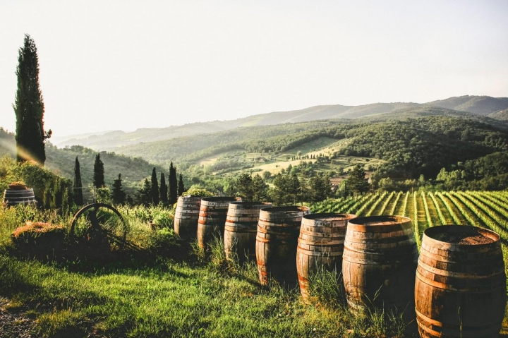 Cidades da Rota do Vinho RS: guia completo de viagem