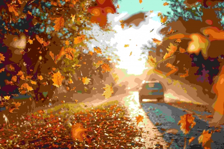 Chegou o outono: 3 estradas para ver as folhas caírem