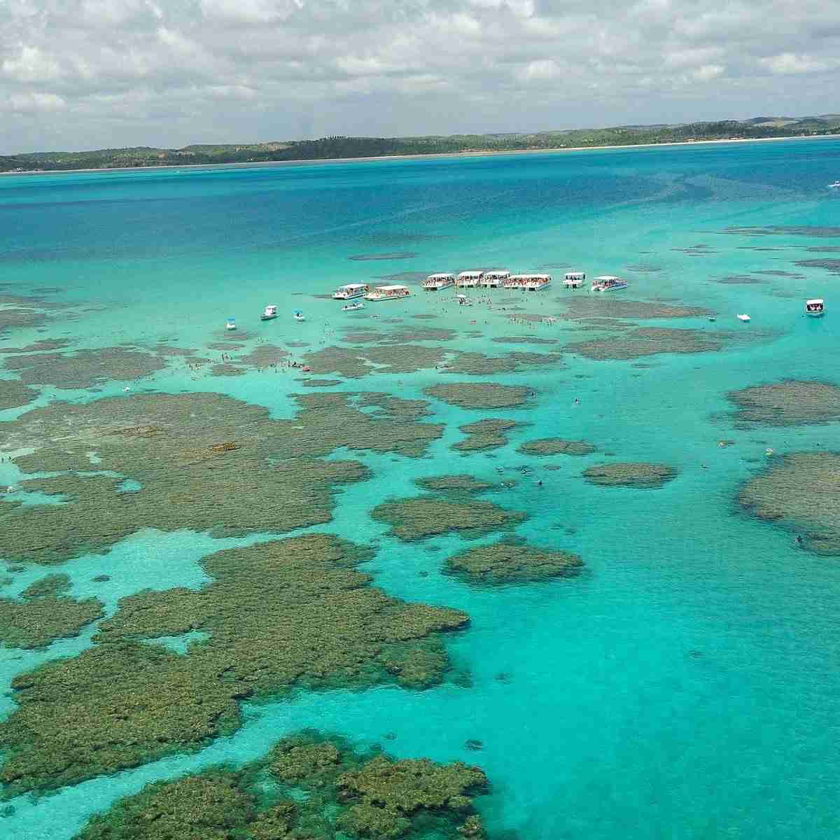 Vista a&eacute;rea deslumbrante de piscinas naturais e recifes de coral em um mar de &aacute;guas cristalinas e turquesa. M&uacute;ltiplos barcos de passeio e turistas desfrutam de mergulho e snorkeling nas &aacute;guas rasas, com uma faixa de areia e vegeta&ccedil;&atilde;o ao fundo sob um c&eacute;u parcialmente nublado. Ideal para turismo e ecoturismo.